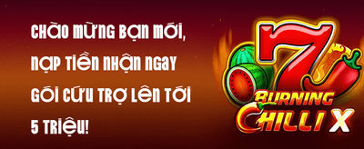 Hoàn Trả VIP Hàng Tuần Không Giới Hạn promotion banner